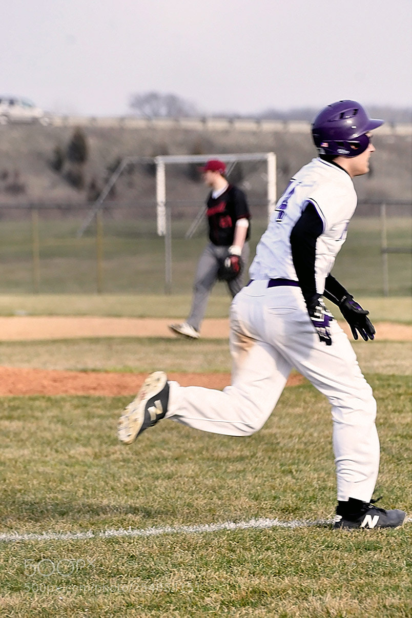 Nikon D500 sample photo. Baseball photography