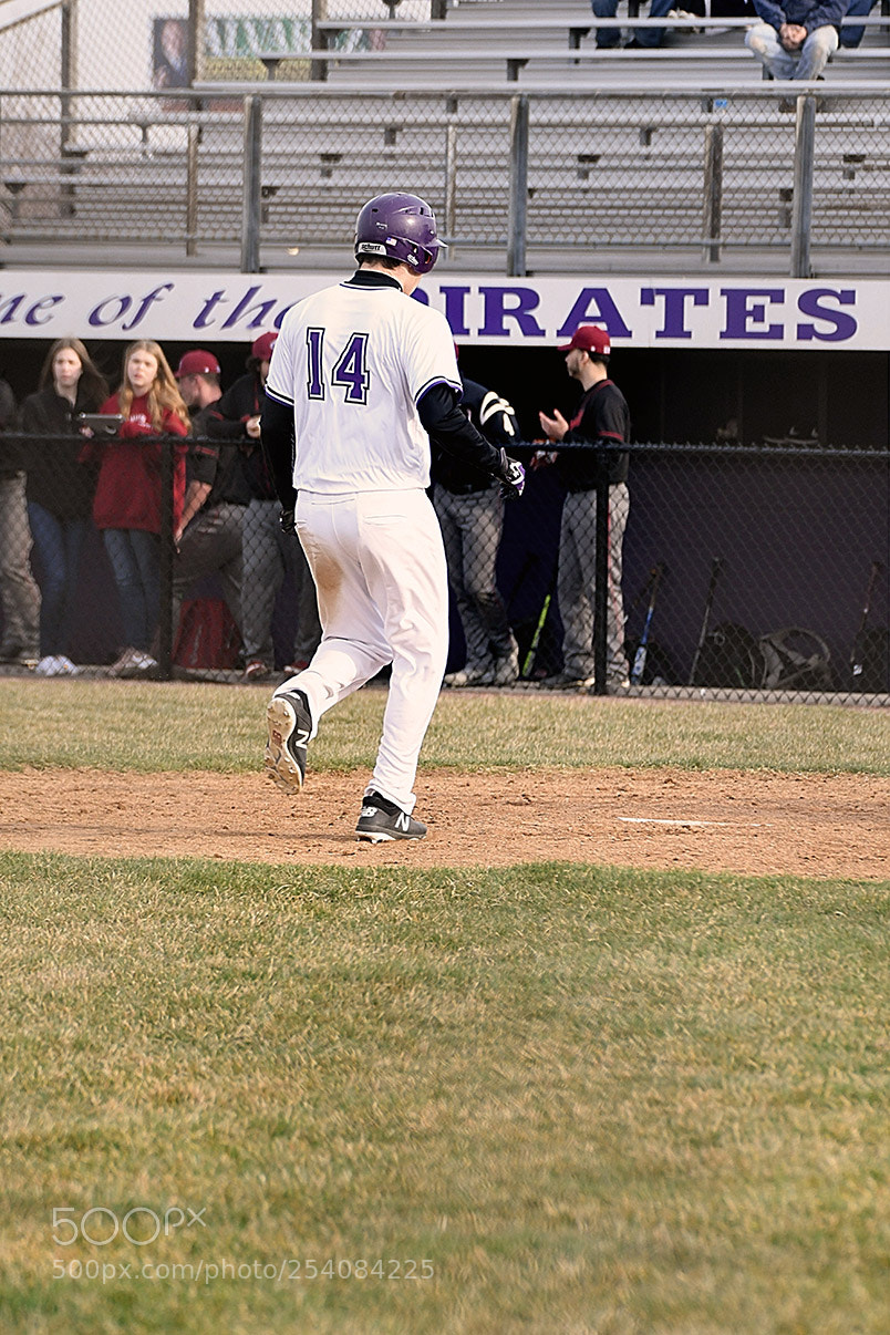 Nikon D500 sample photo. Baseball photography