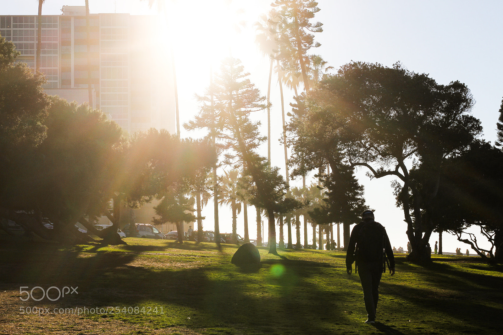 Canon EOS 7D sample photo. Strolling in the park photography
