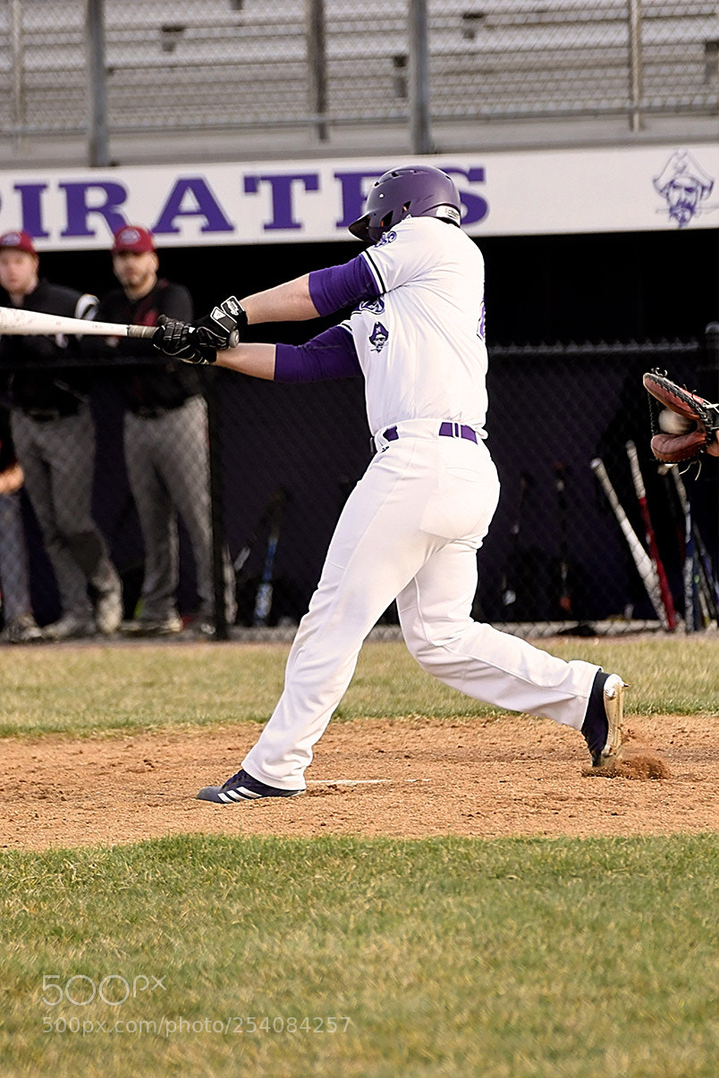 Nikon D500 sample photo. Baseball photography