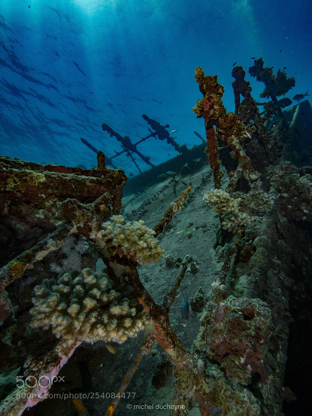 Olympus OM-D E-M10 II sample photo. Umbria’s wreck deck . photography