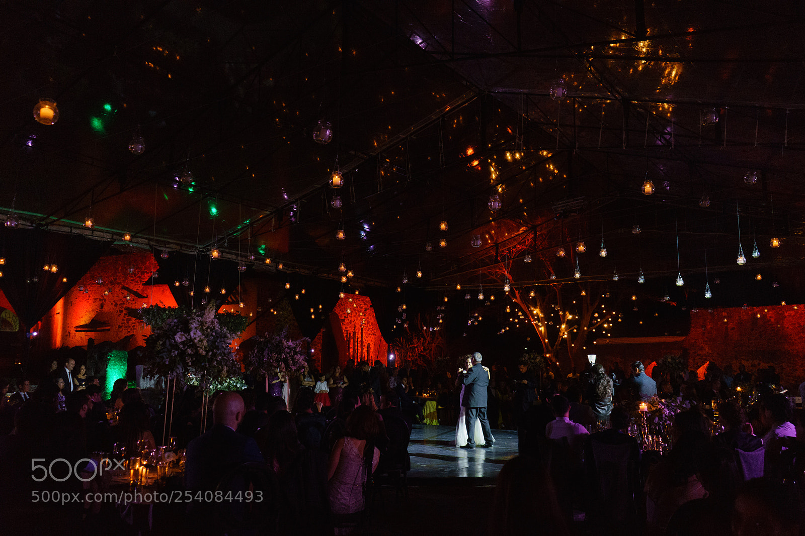 Sony a7 sample photo. Anelcruzphoto photography