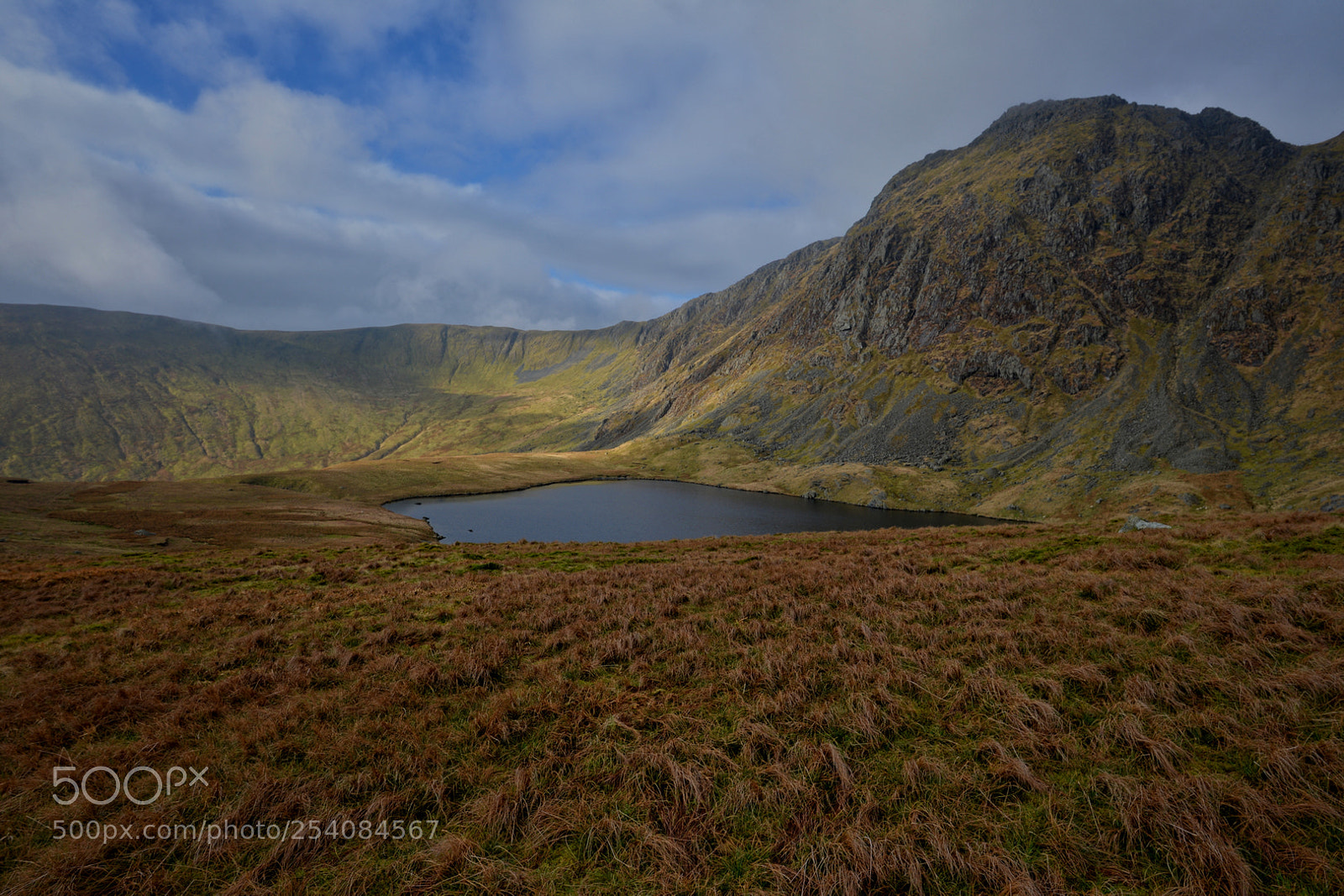 Nikon D610 sample photo. Tarn photography
