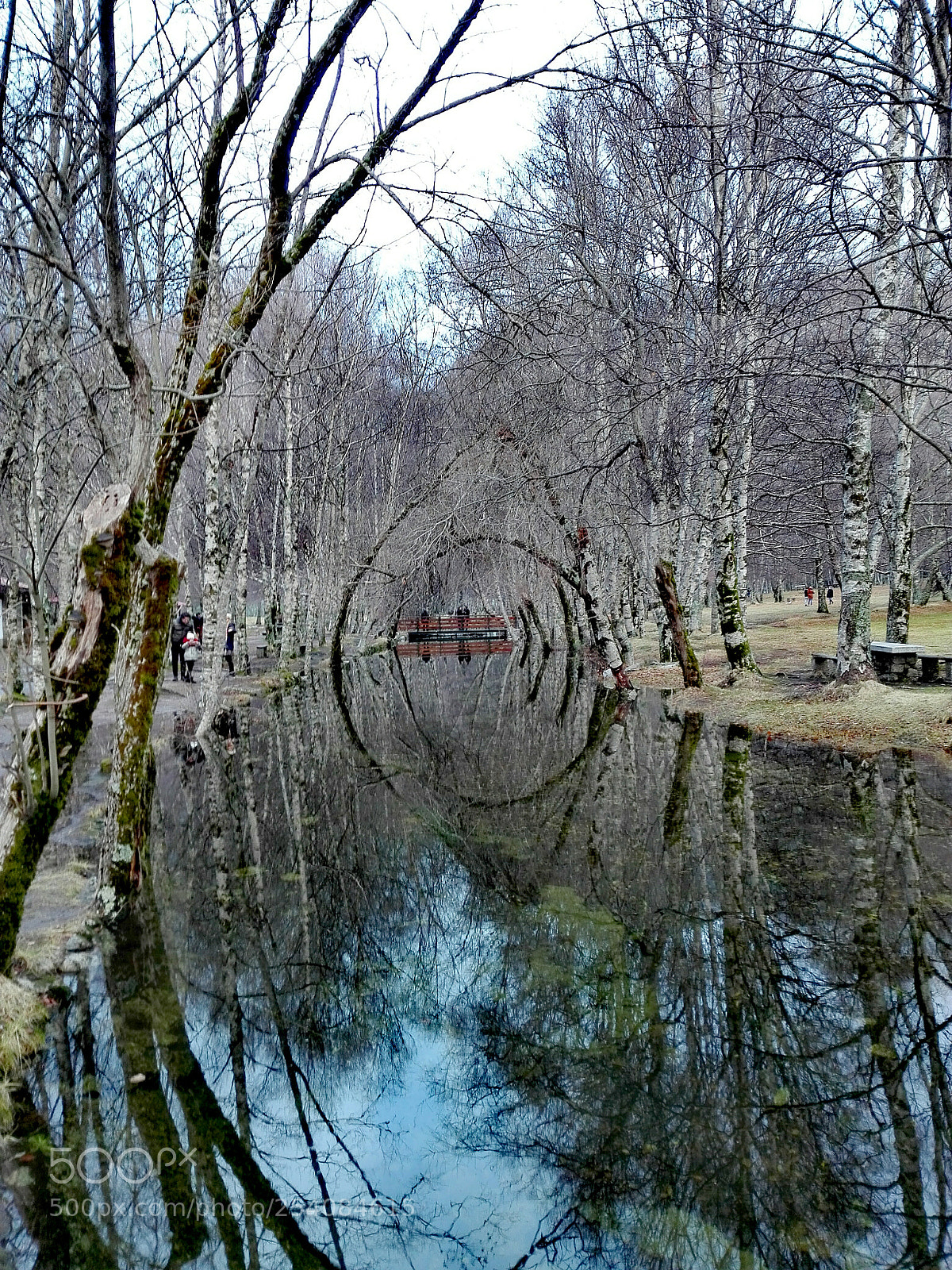 HUAWEI P8 Lite sample photo. Hdr photography