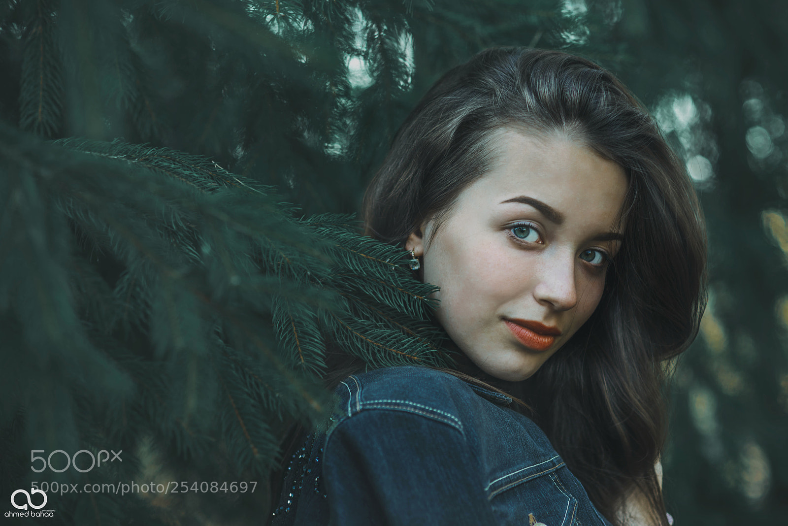 Nikon D810 sample photo. Deep green photography