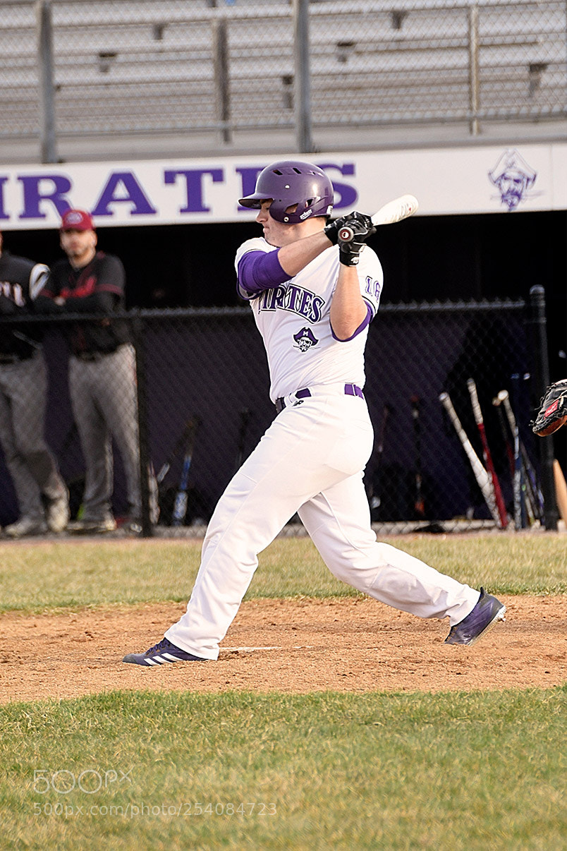 Nikon D500 sample photo. Baseball photography