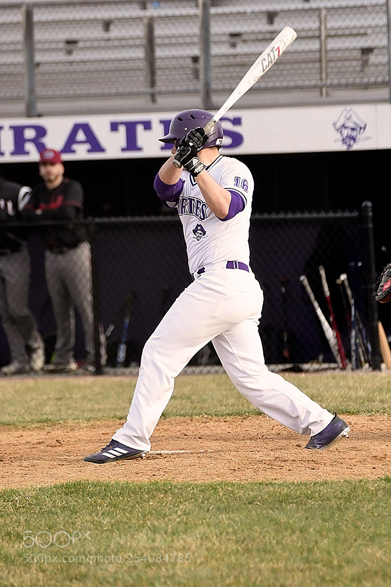 Nikon D500 sample photo. Baseball photography