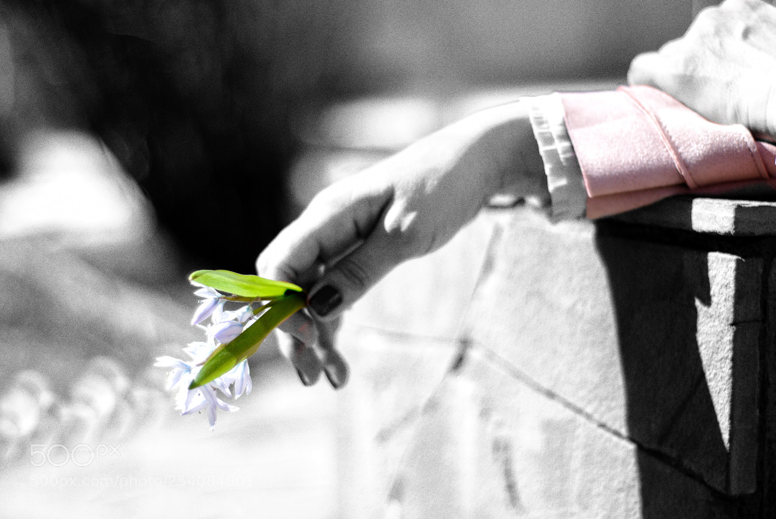 Nikon D80 sample photo. Spring  photography