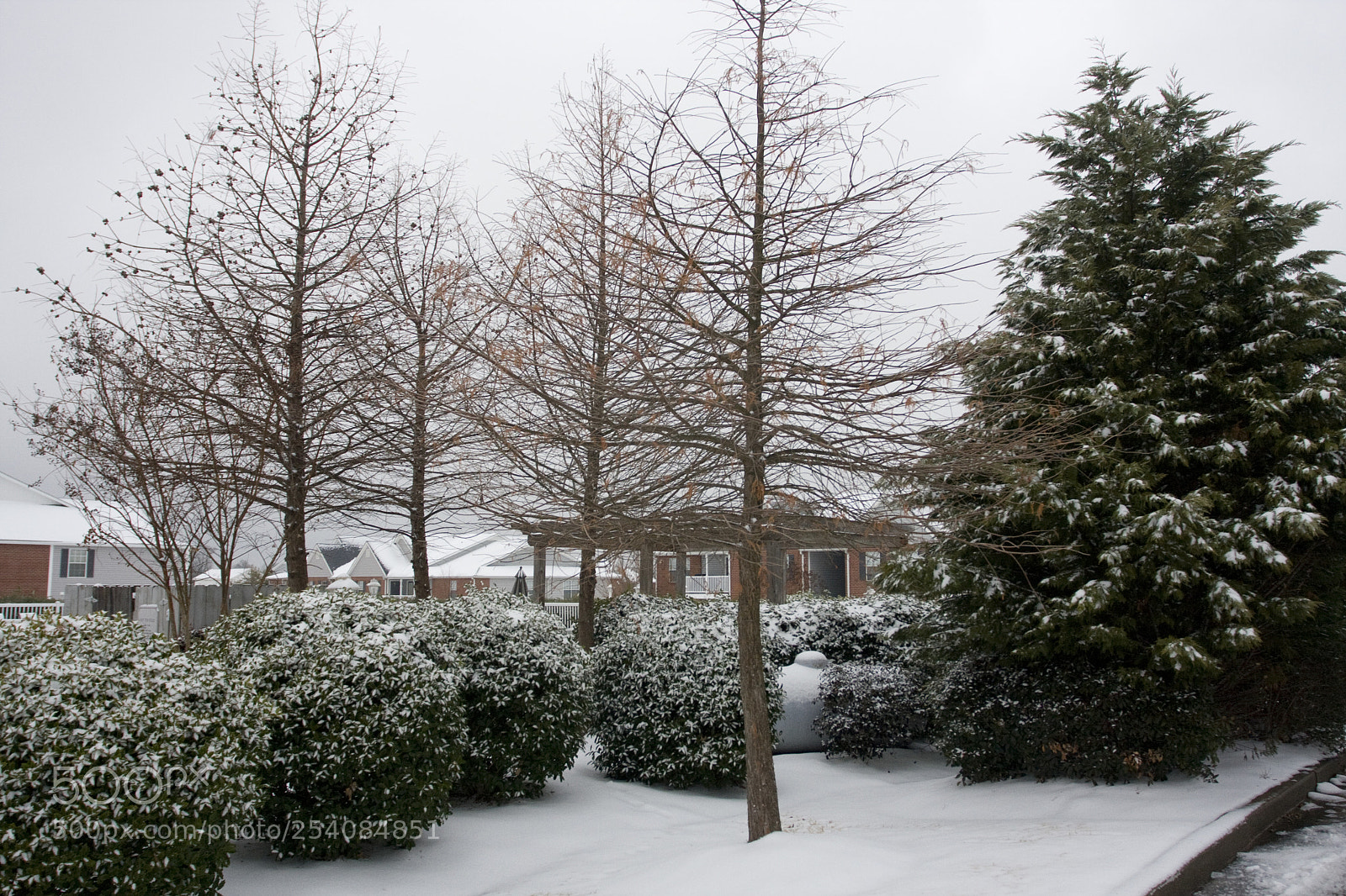 Canon EOS 40D sample photo. Starkville snow photography