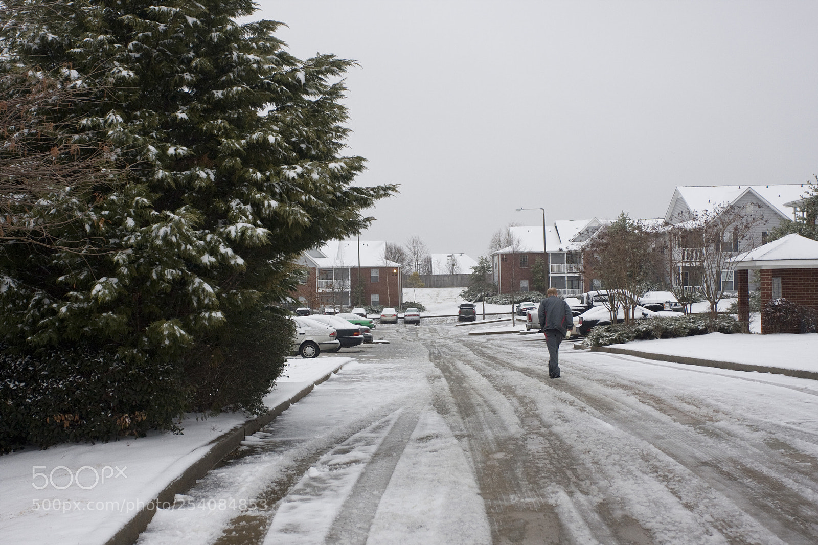 Canon EOS 40D sample photo. Starkville snow photography