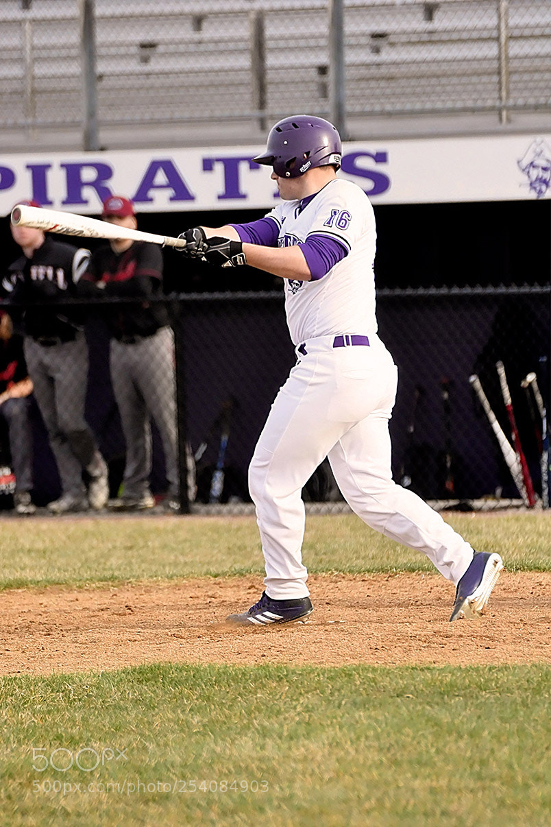 Nikon D500 sample photo. Baseball photography