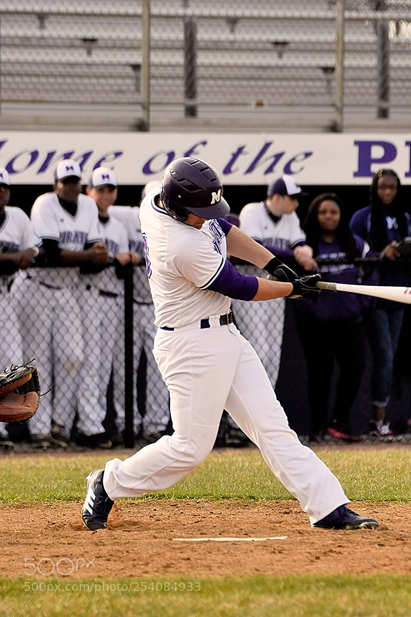 Nikon D500 sample photo. Baseball photography