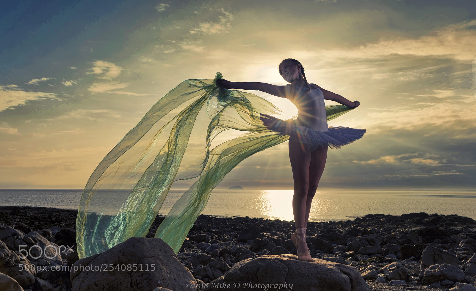 Nikon D800 sample photo. Delicate dancer photography