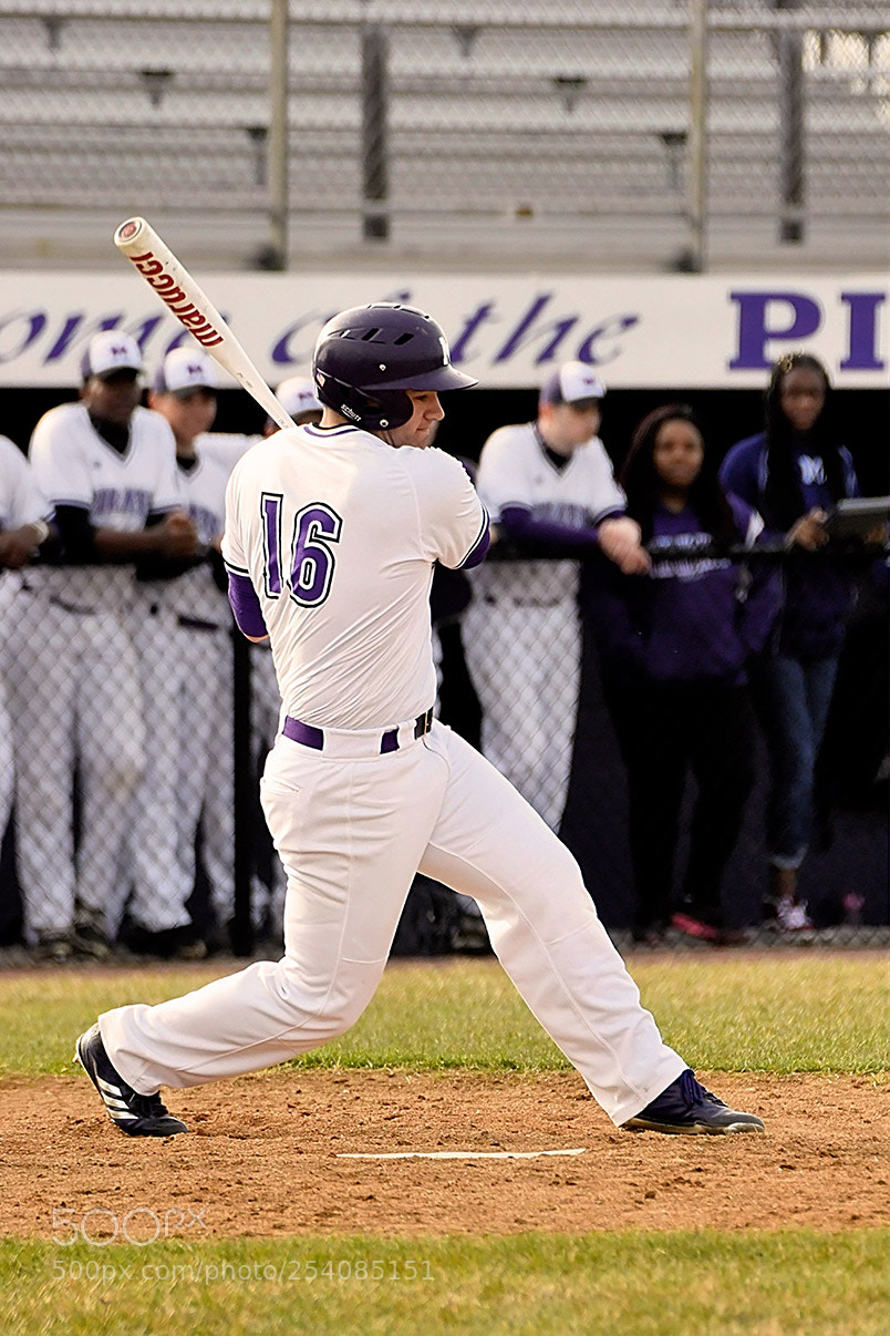 Nikon D500 sample photo. Baseball photography