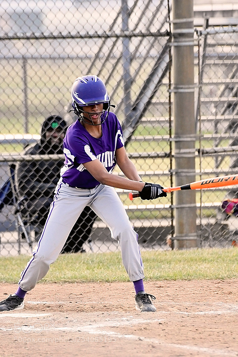 Nikon D500 sample photo. Softball photography