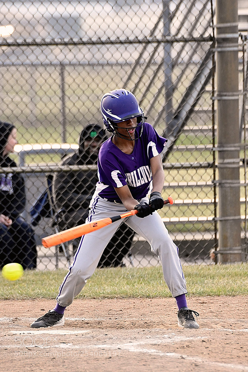 Nikon D500 sample photo. Softball photography