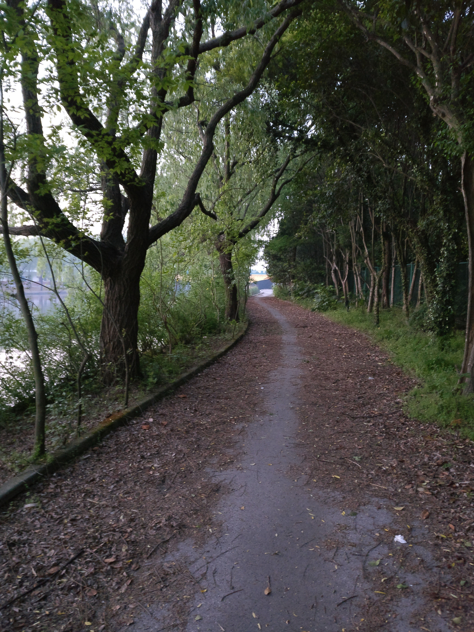 OnePlus A3010 sample photo