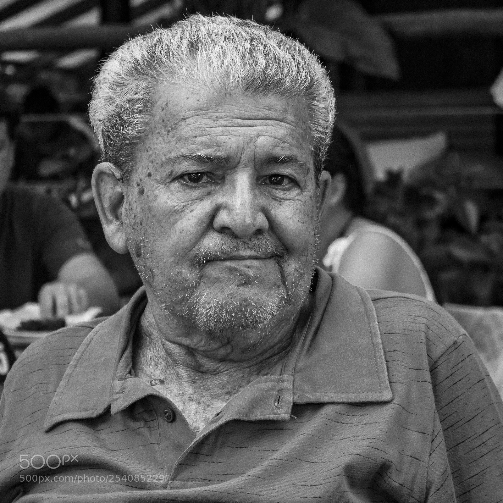 Canon EOS 760D (EOS Rebel T6s / EOS 8000D) sample photo. Patriarch photography