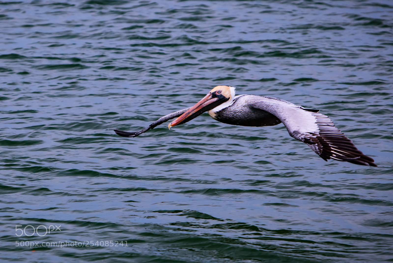 Canon EOS 5D Mark II sample photo. Untitled photography