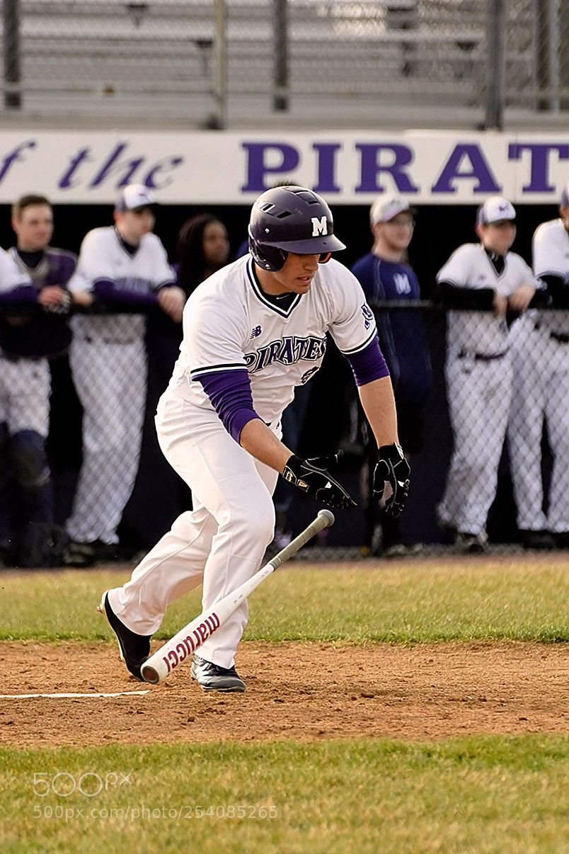 Nikon D500 sample photo. Baseball photography