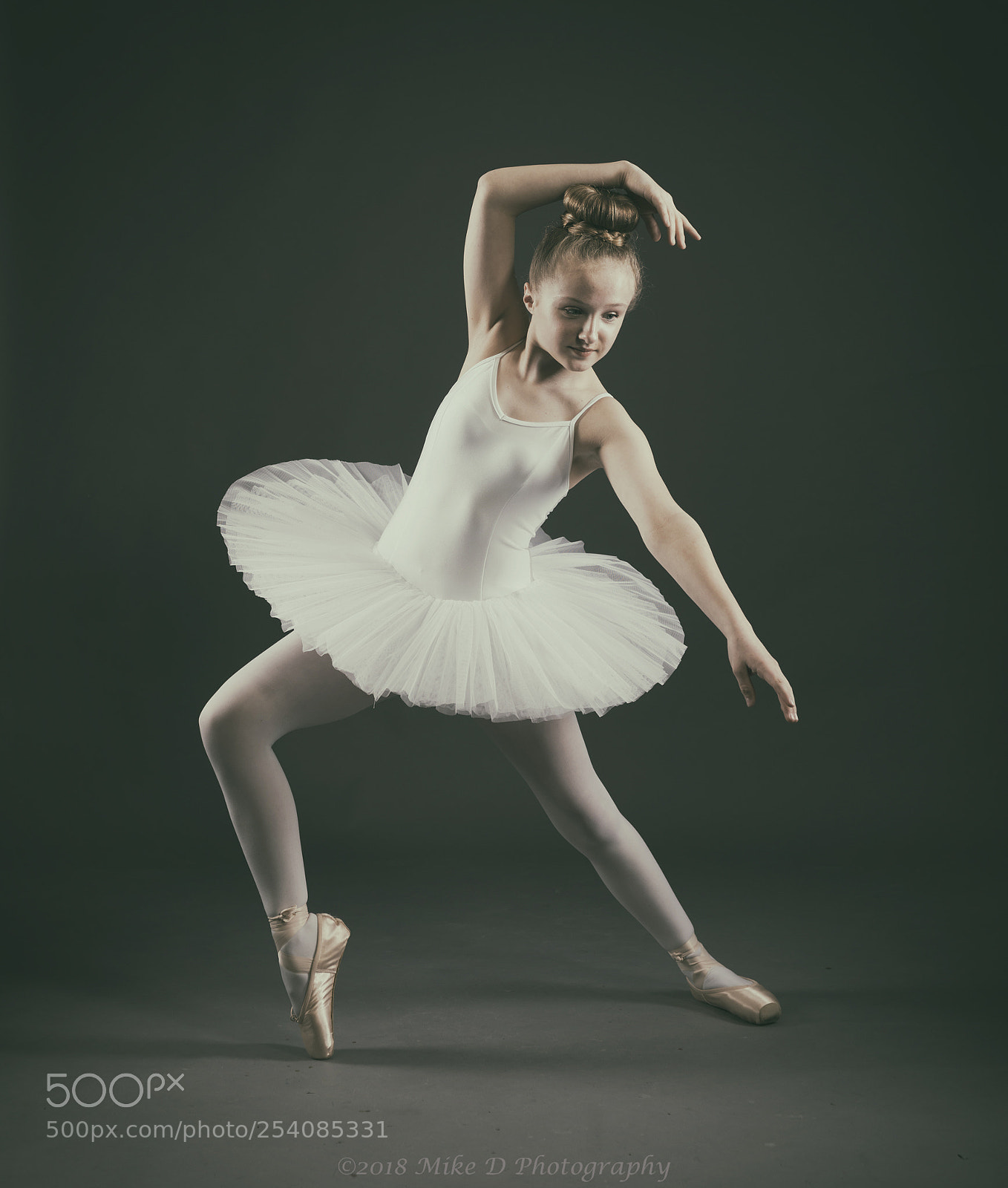 Nikon D800 sample photo. Ballet photography