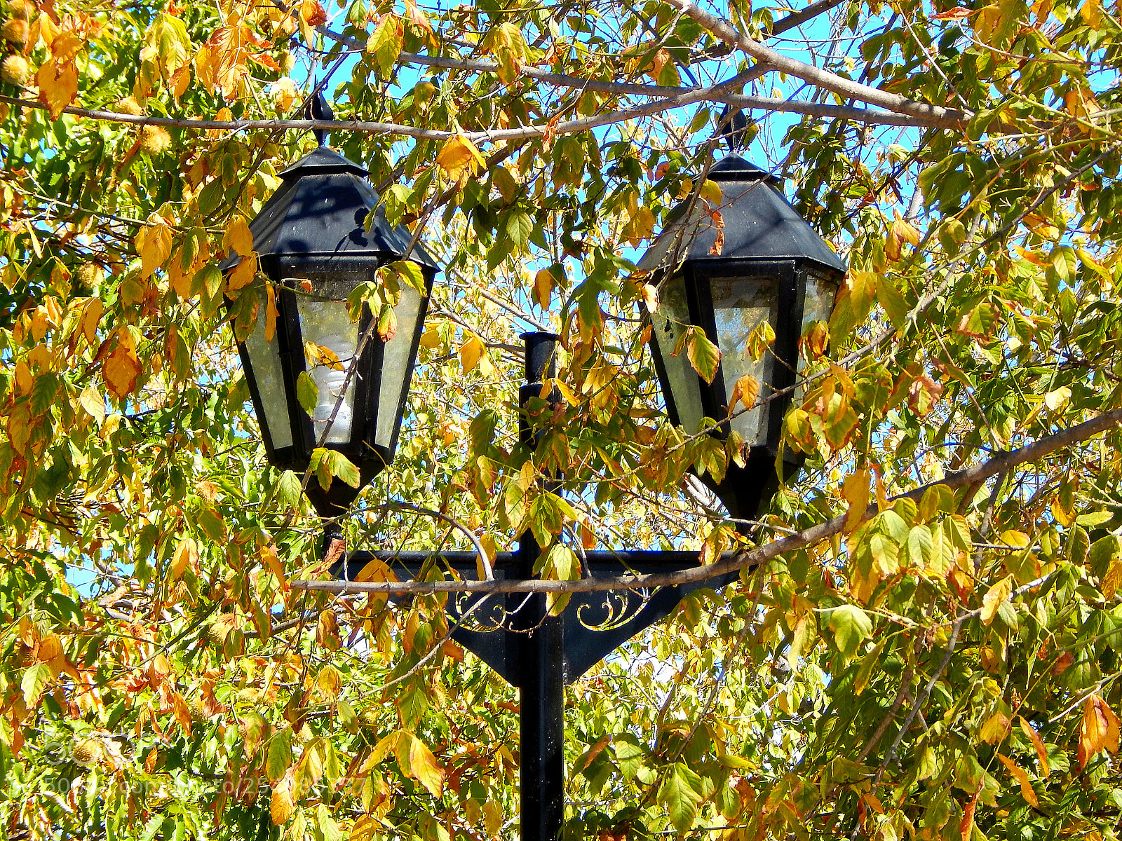 Nikon Coolpix L830 sample photo. Otoño photography