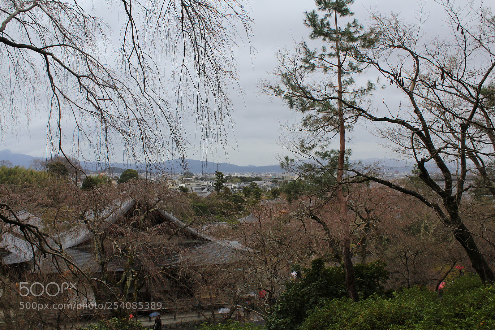 Canon EOS 1200D (EOS Rebel T5 / EOS Kiss X70 / EOS Hi) sample photo. Arashiyama photography