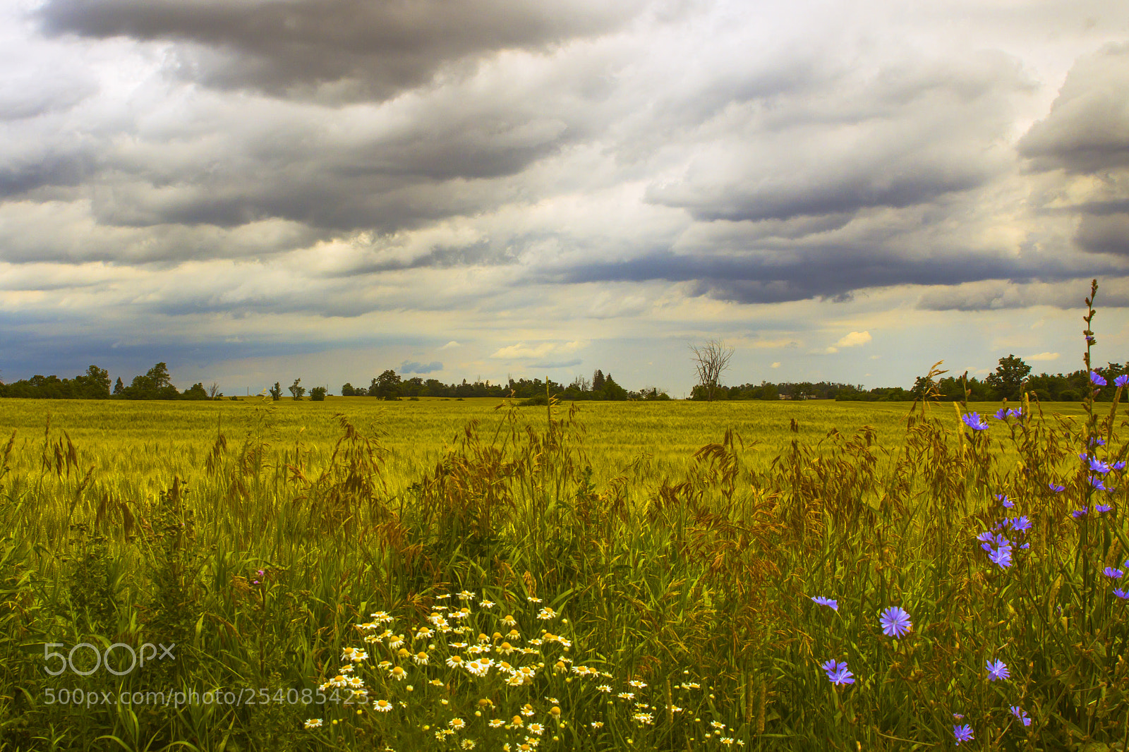 Canon EOS 60D sample photo. Caledon. ontario countryside photography