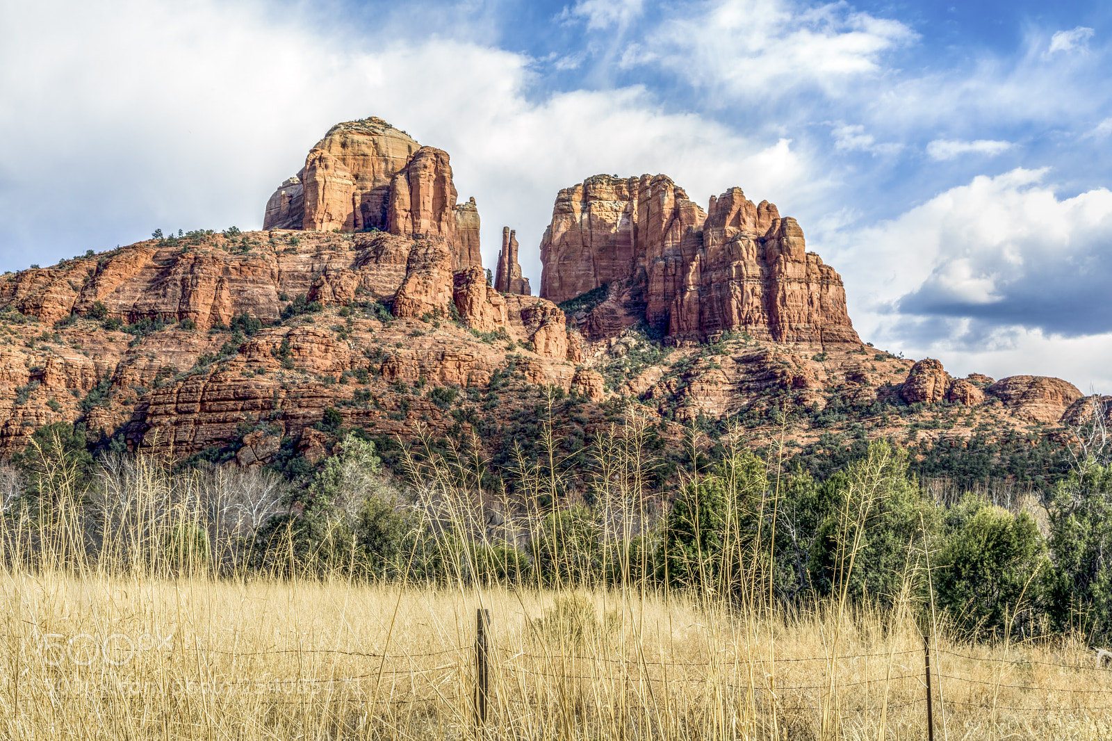 Canon EOS 5D Mark IV sample photo. Cathedral rock across field photography