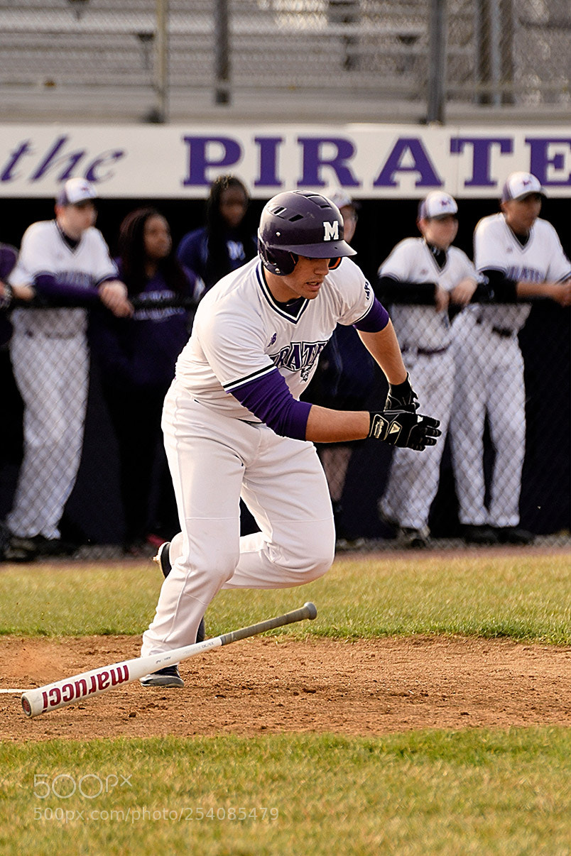 Nikon D500 sample photo. Baseball photography