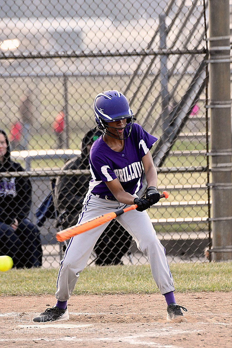 Nikon D500 sample photo. Softball photography