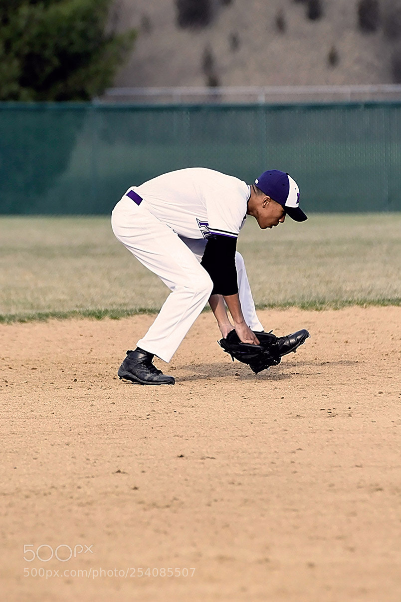 Nikon D500 sample photo. Baseball photography