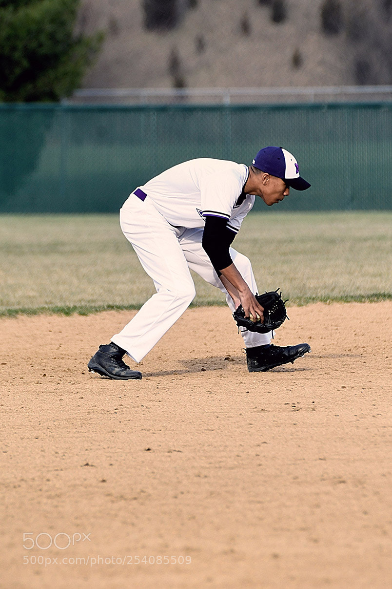 Nikon D500 sample photo. Baseball photography