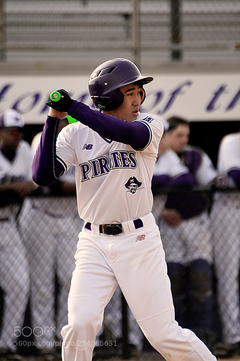 Nikon D500 sample photo. Baseball photography