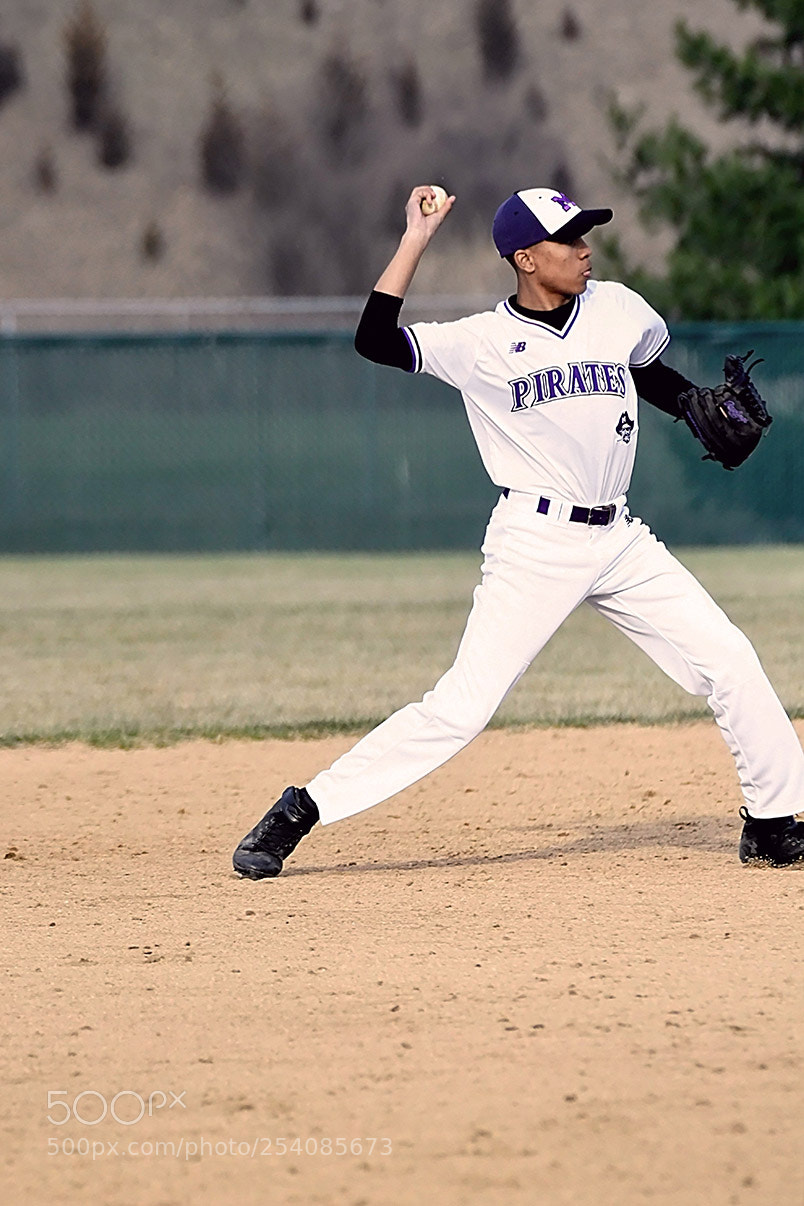 Nikon D500 sample photo. Baseball photography