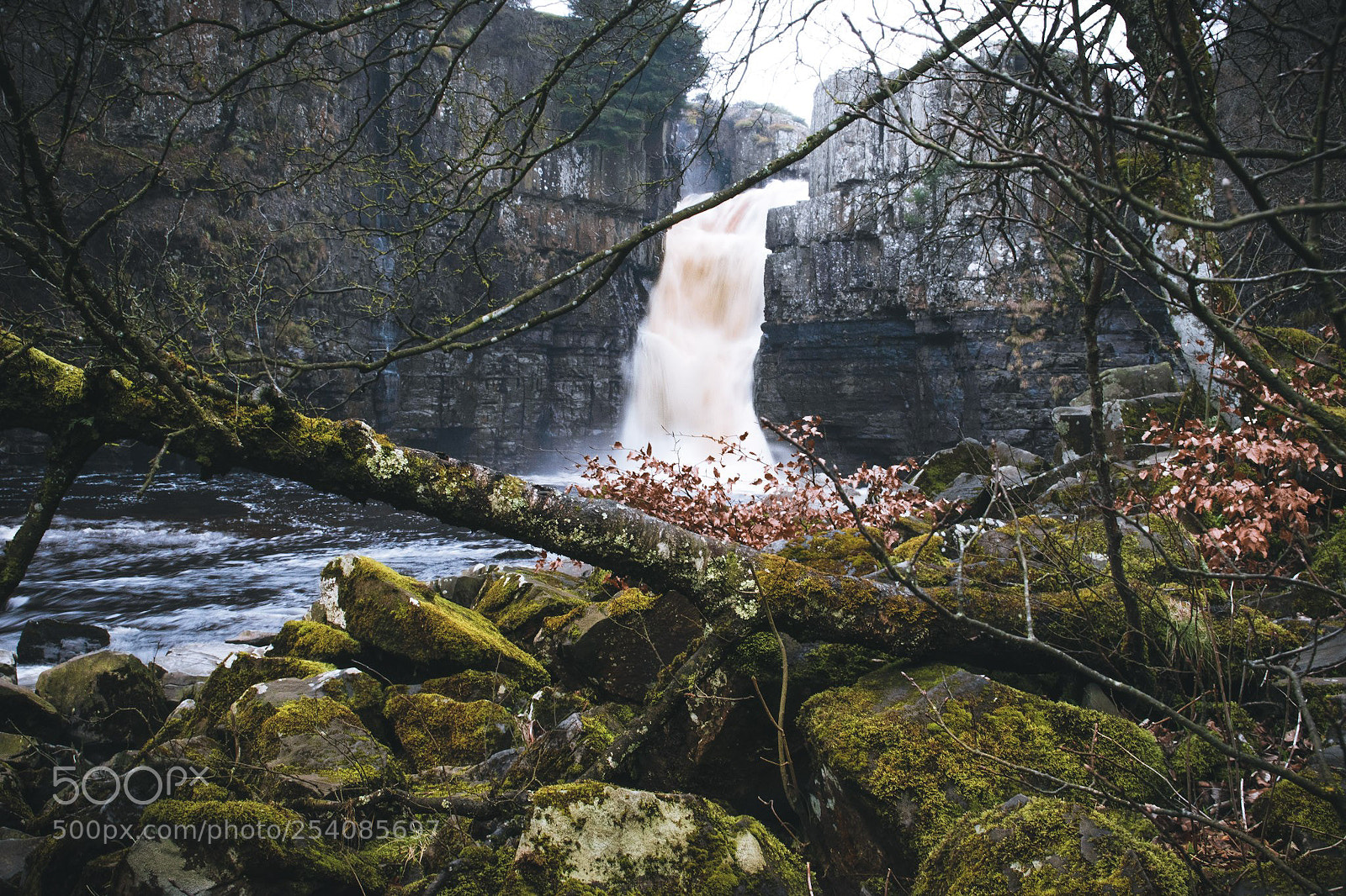 Nikon D5500 sample photo. High force photography
