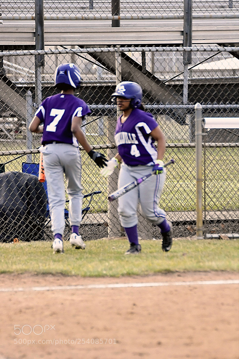 Nikon D500 sample photo. Softball photography