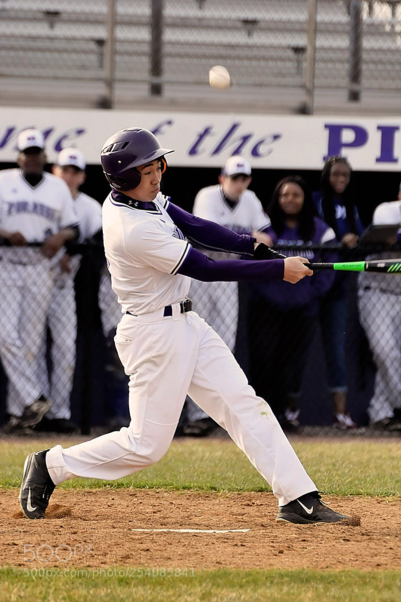 Nikon D500 sample photo. Baseball photography