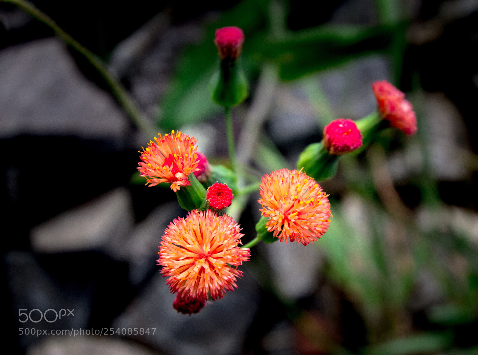 Canon EOS 7D sample photo. Nature vibes  photography