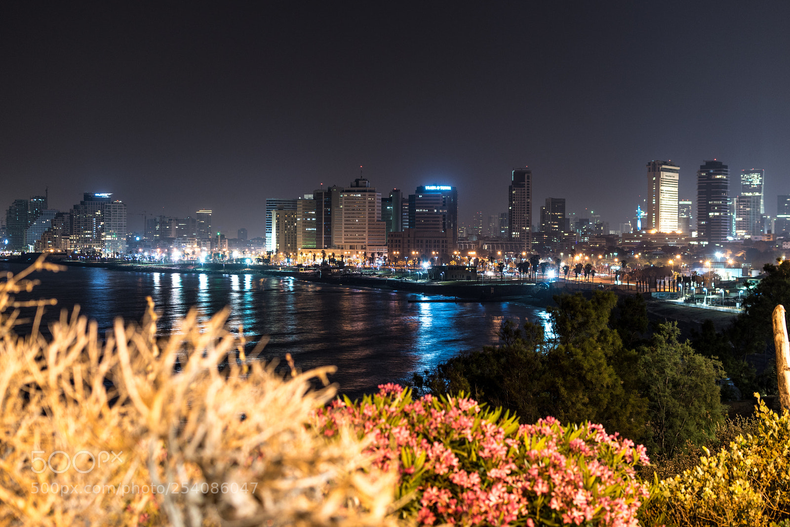 Nikon D5600 sample photo. Tel aviv sleeps photography