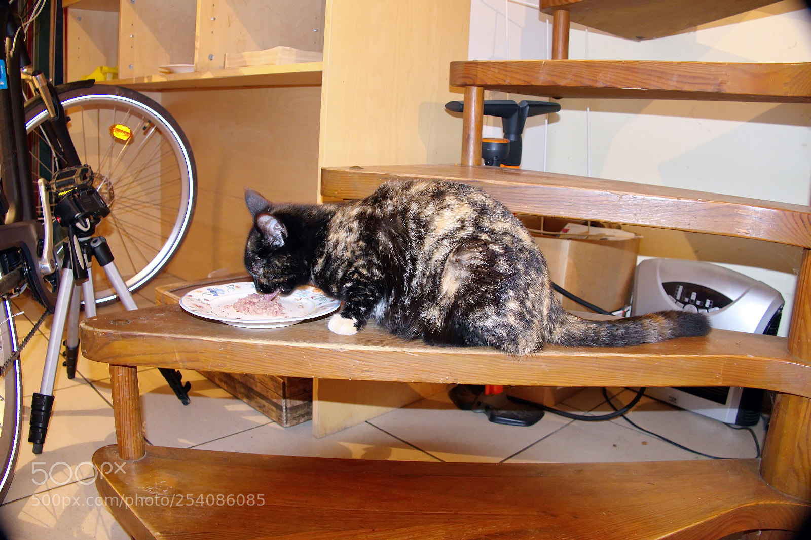 Panasonic Lumix DMC-FZ1000 sample photo. Xx () photography