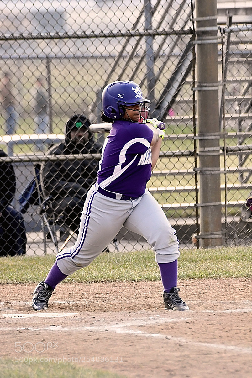 Nikon D500 sample photo. Softball photography