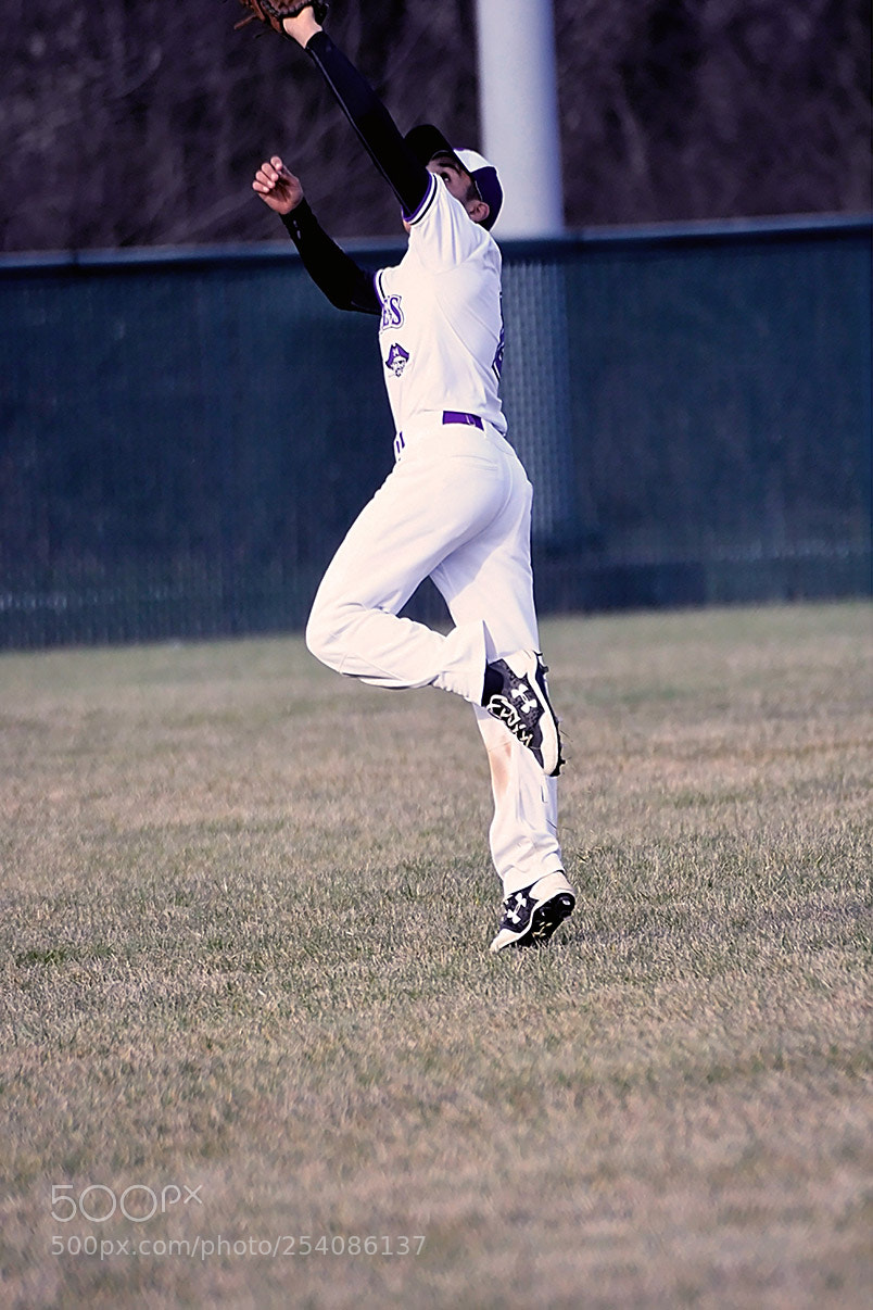 Nikon D500 sample photo. Baseball photography