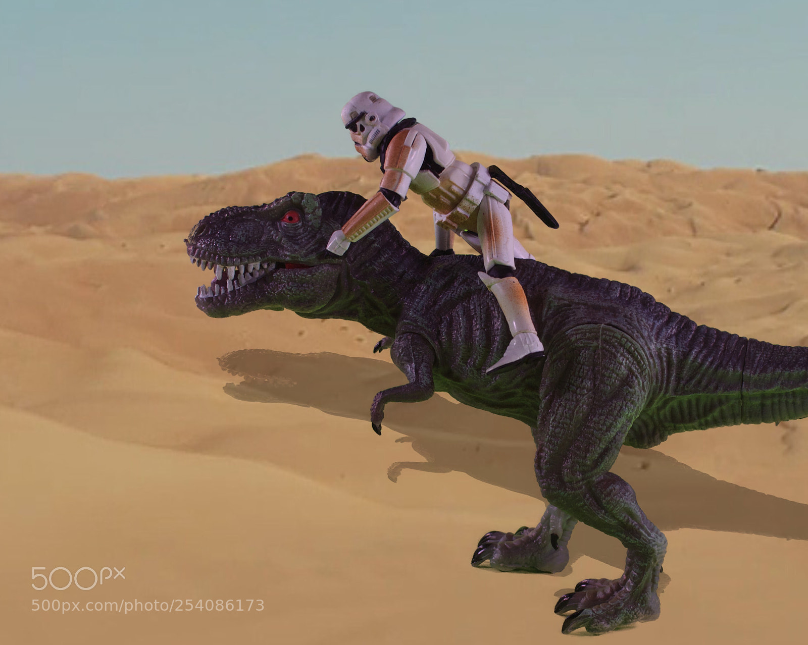 Olympus PEN E-PL5 sample photo. Dewback? photography
