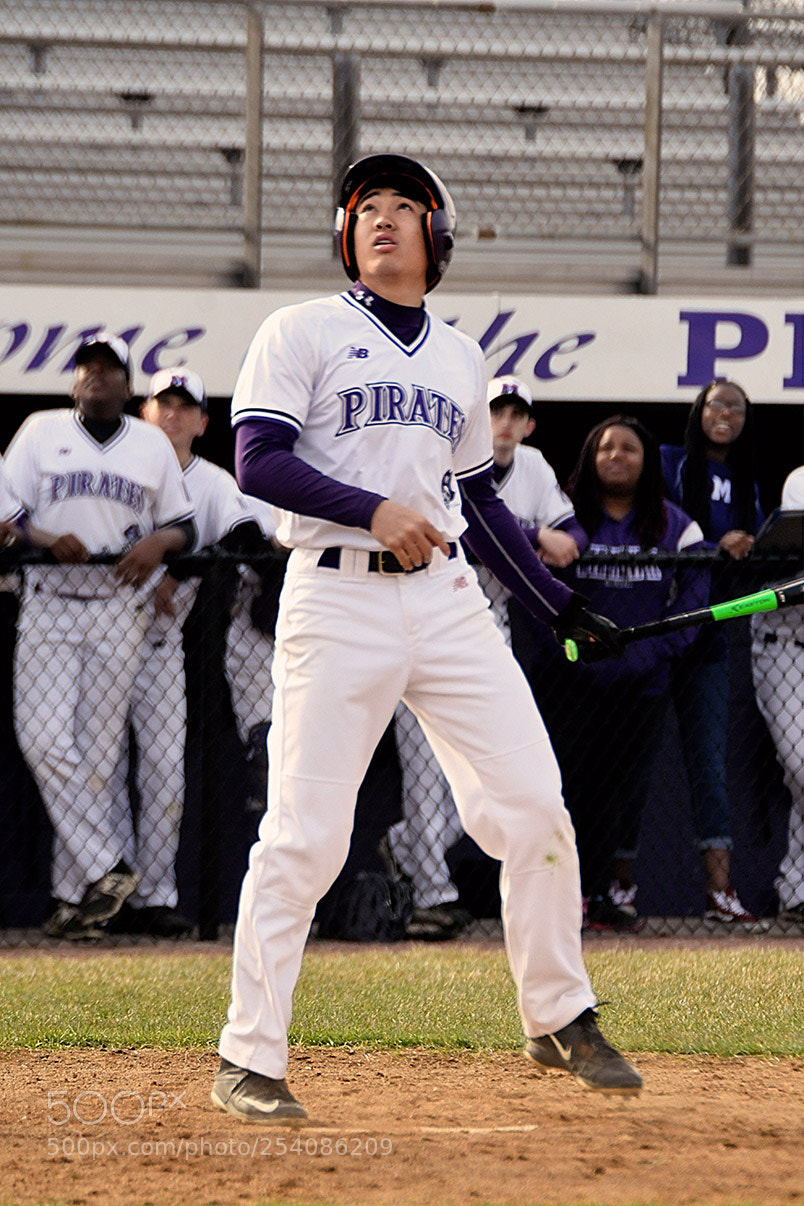 Nikon D500 sample photo. Baseball photography