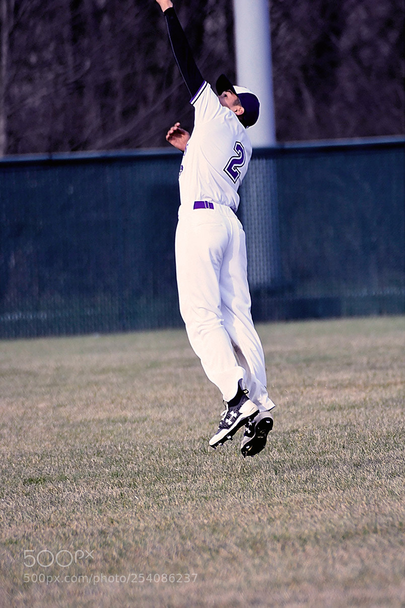 Nikon D500 sample photo. Baseball photography