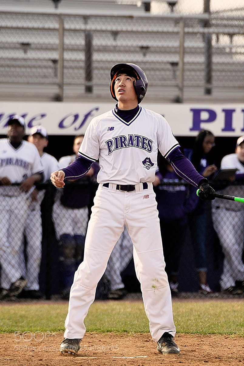 Nikon D500 sample photo. Baseball photography