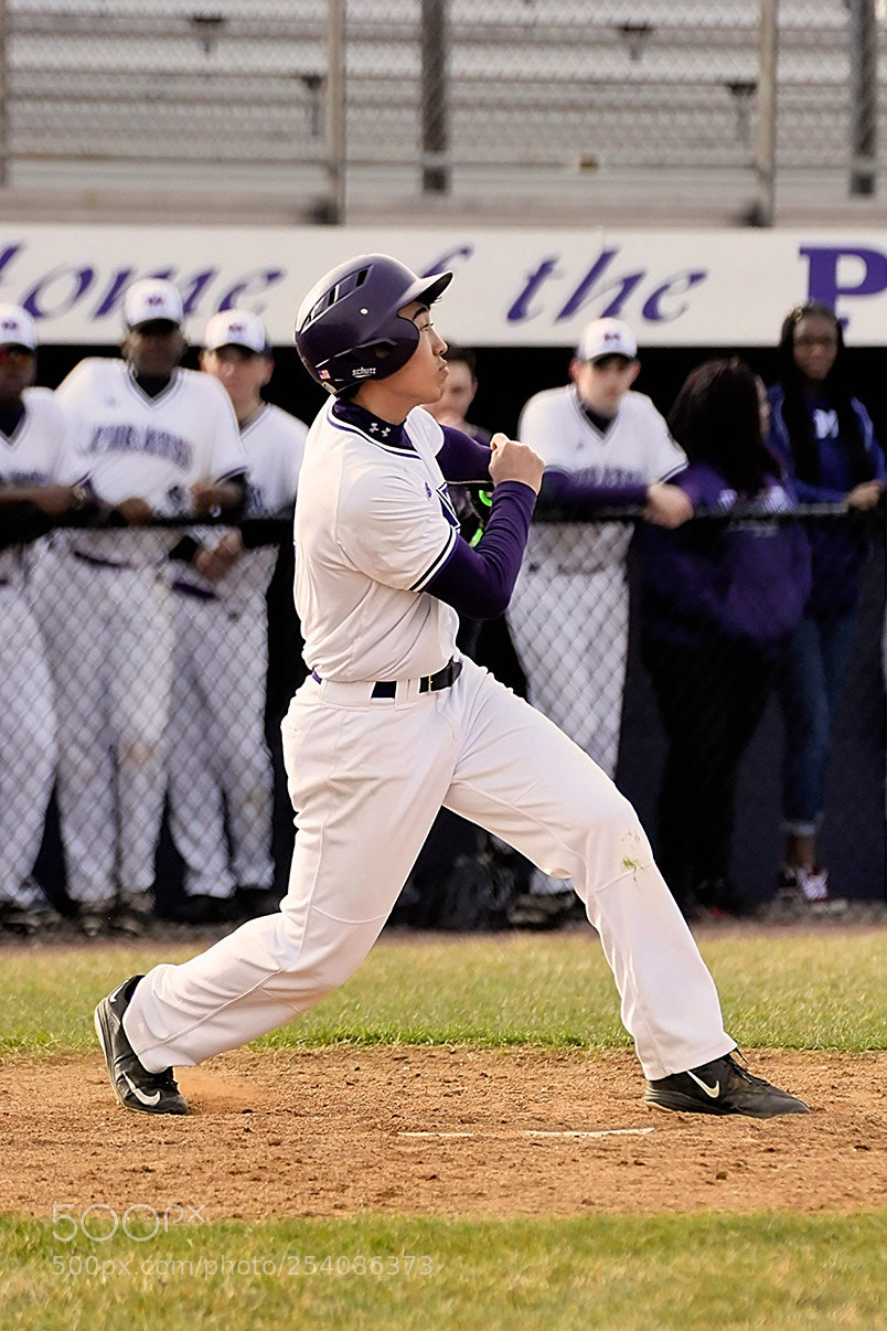 Nikon D500 sample photo. Baseball photography