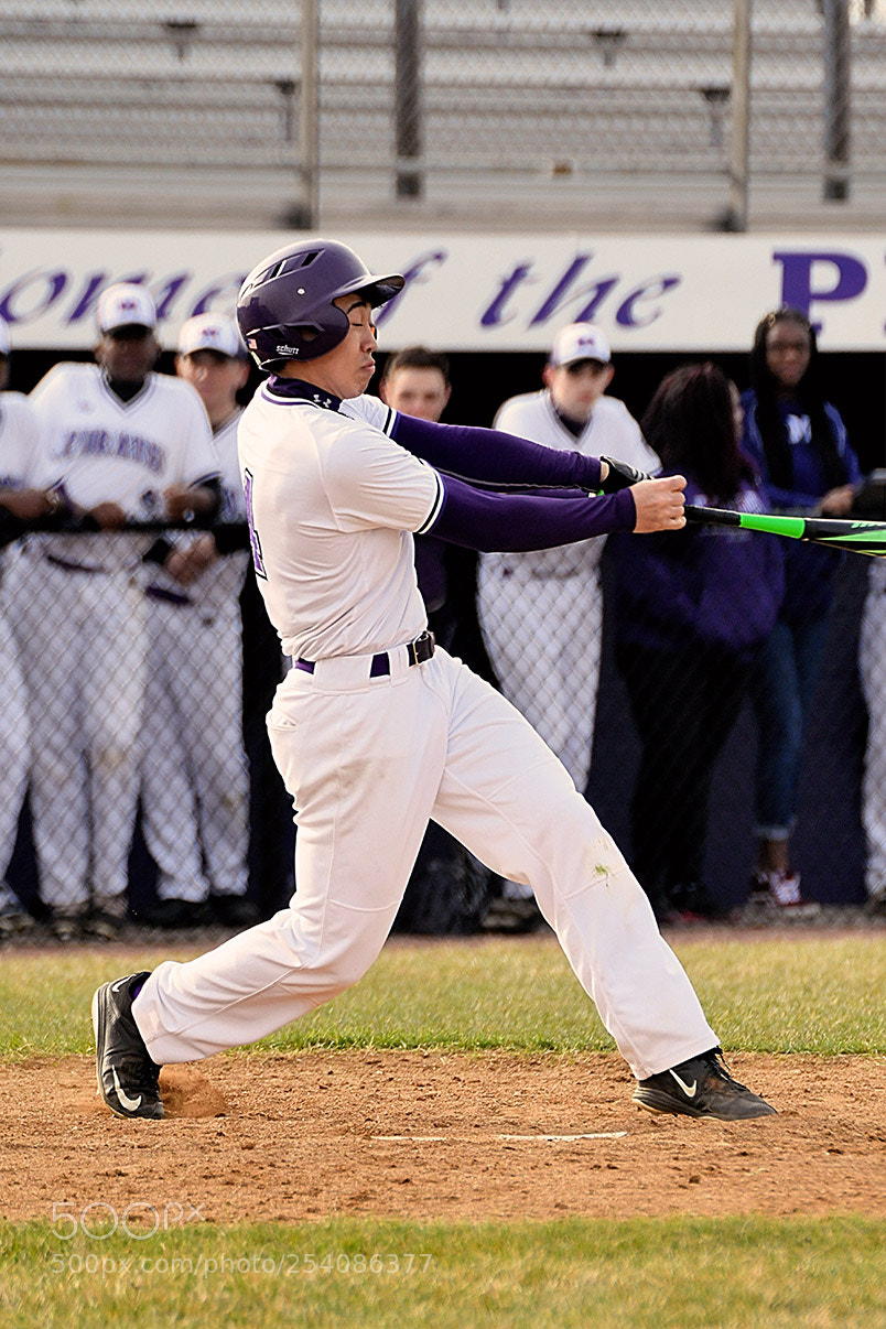 Nikon D500 sample photo. Baseball photography