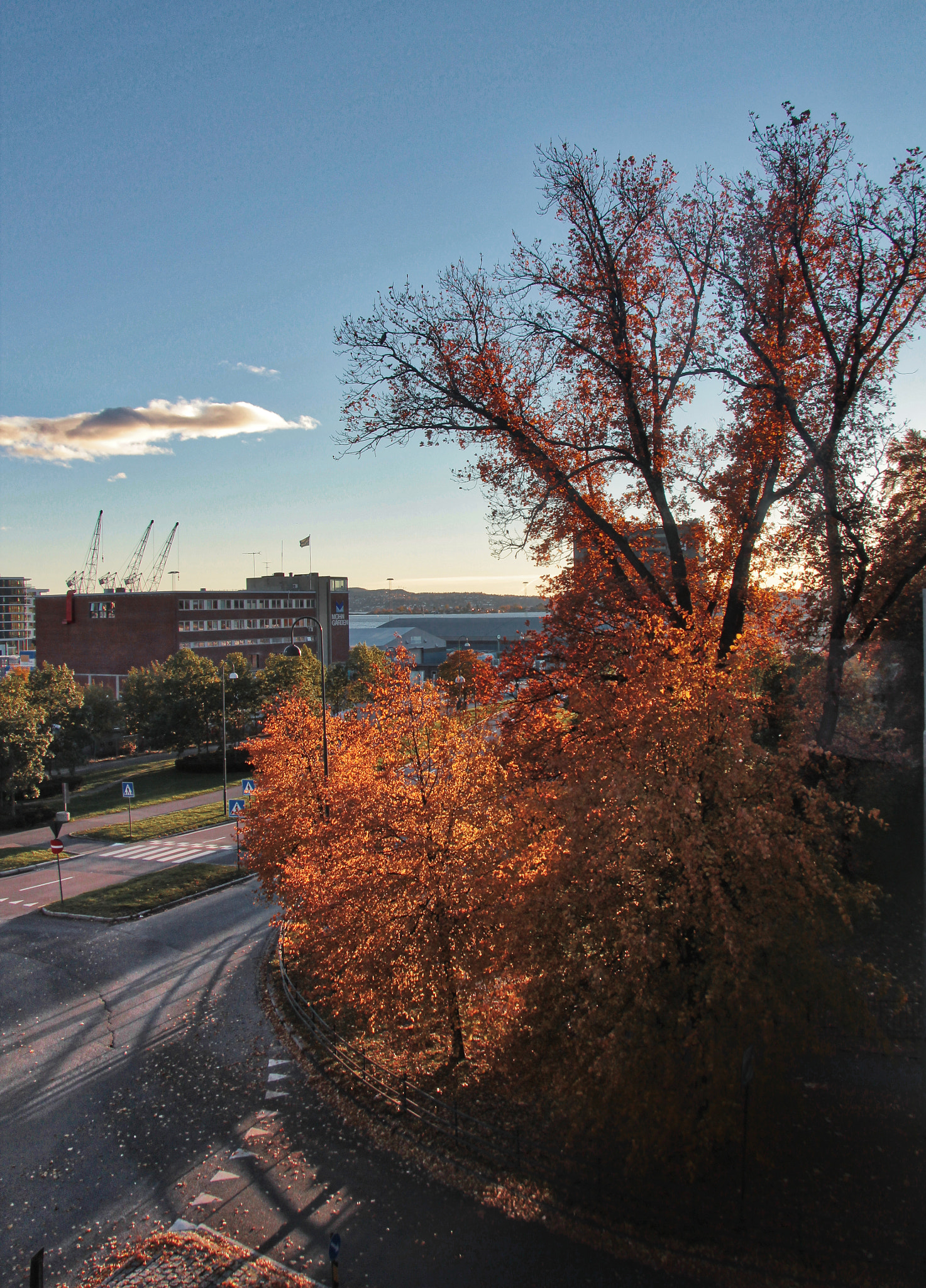 Canon EF-S 17-85mm F4-5.6 IS USM sample photo. Autumn in oslo photography